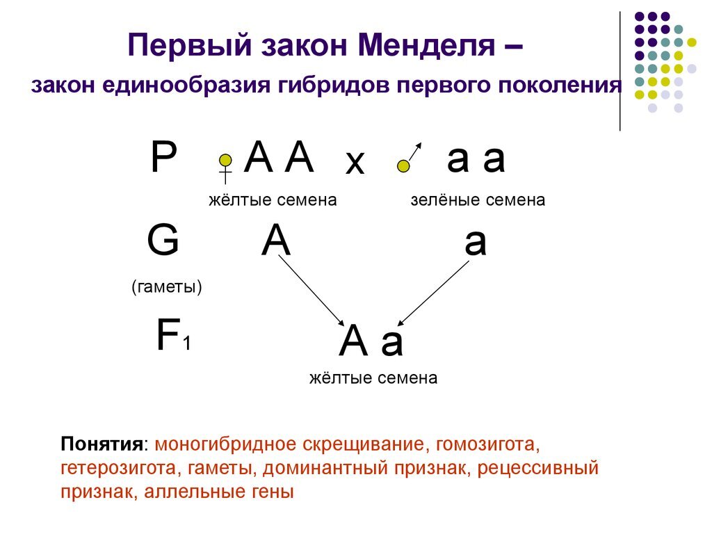 В каком из течений доминантное место в художественной картине мира занимал символ