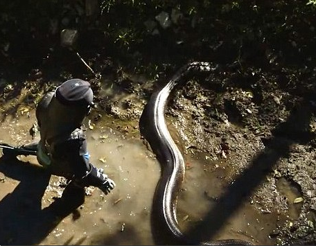 фото Discovery Channel