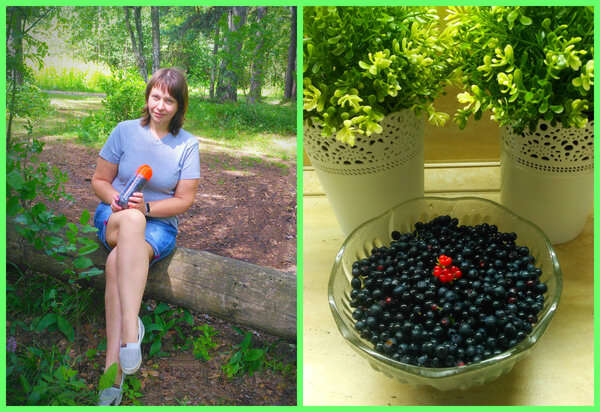 Собранная черника в контейнере