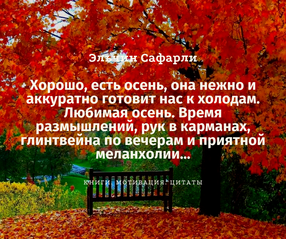 Красота природы осенью цитаты. Красная осень цитаты. Цитаты про деревья осенью. Осень в городе цитаты.