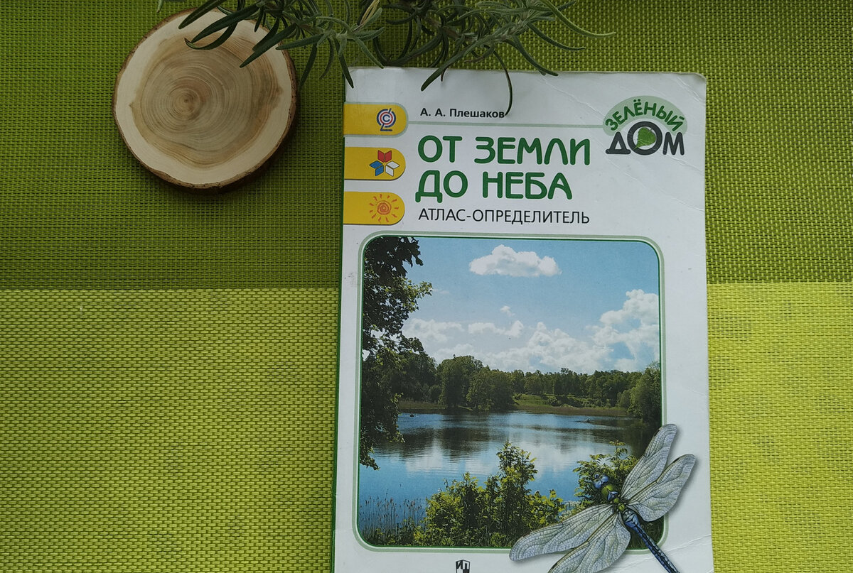 Вот такой он у нас - уже потрепанный, зато востребованный