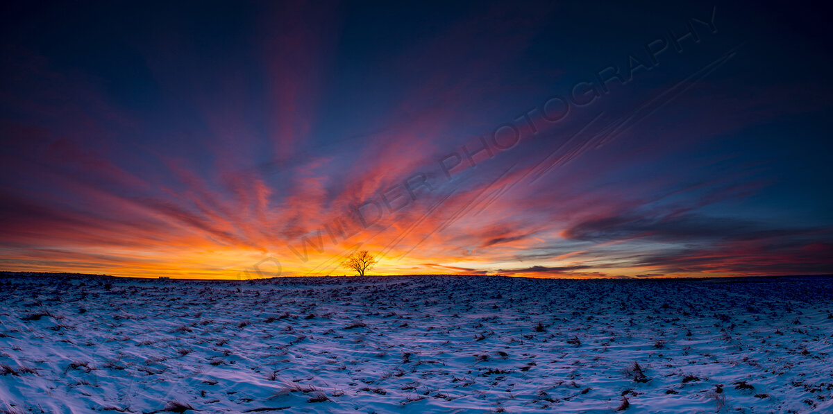 Фото взяты с сайта http://davidwilder.ca/