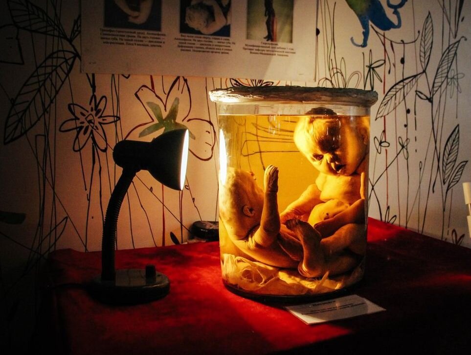 Автор фото:  Наталья Гредина, Новосибирск