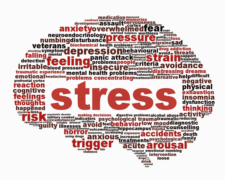 http://4.bp.blogspot.com/-rNuXNEyquF0/U1N3VPbhcDI/AAAAAAAAAbI/wSqJ22x0dSQ/s1600/stress.jpg