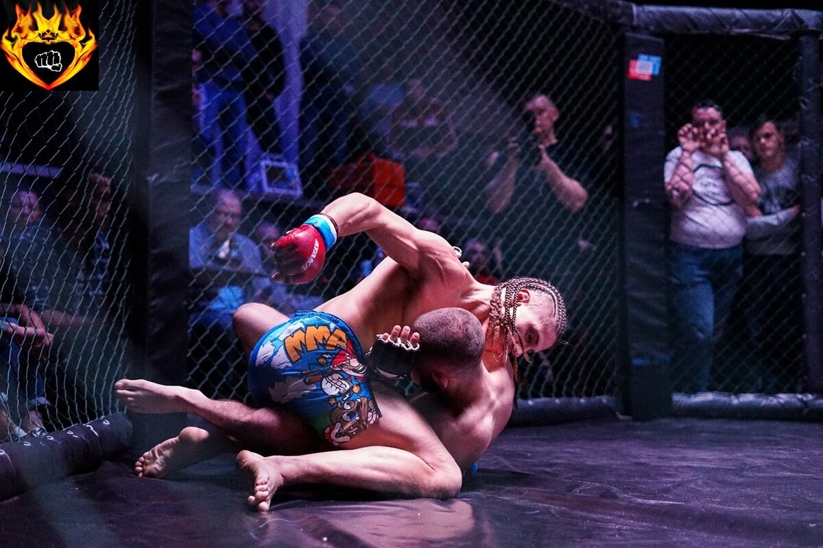 ММА,Спортивные бои,Драки