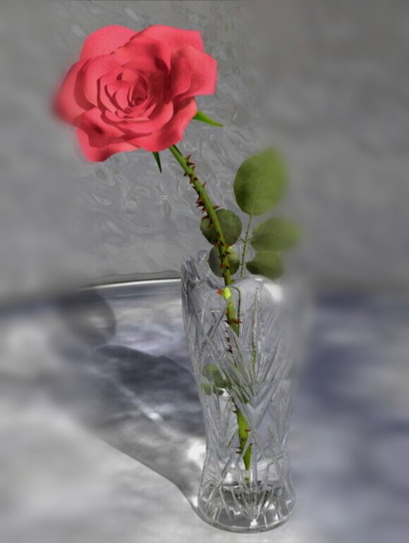 Розы в горячую воду. Розы в вазе. Розы в прозрачной вазе. Розы в хрустальной вазе.