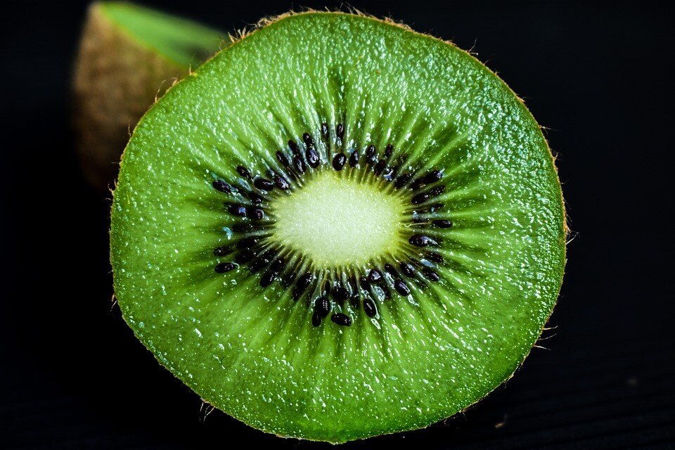 Фото: pixabay.com