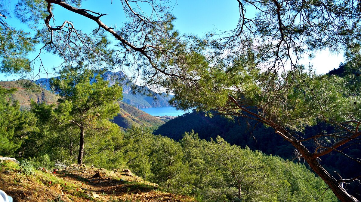 Вид на бухту Адрасан с тропы