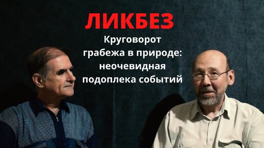 Круговорот грабежа в природе: неочевидная подоплека событий