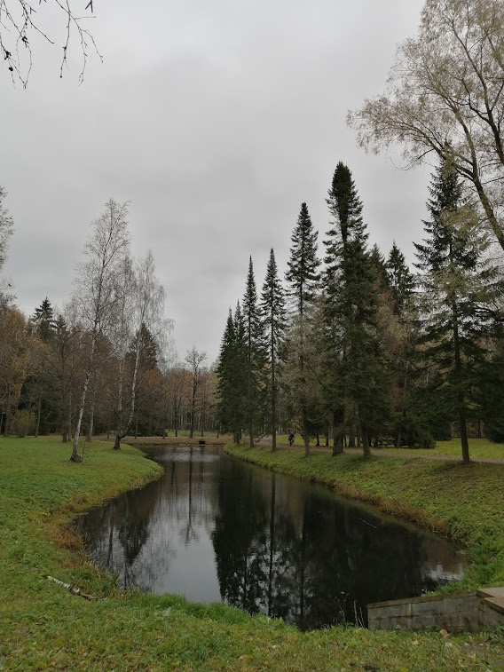 Природа Павловского парка