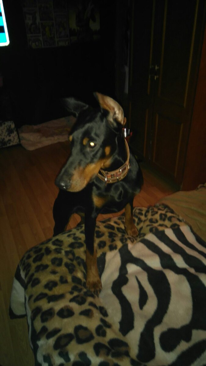 Первый день дома. 