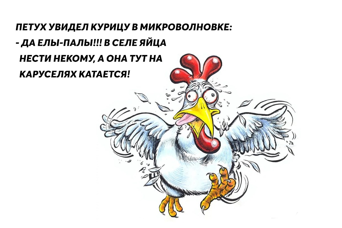 Иллюстрация из открытых источников.Яндекс картинки.Коллаж автора.