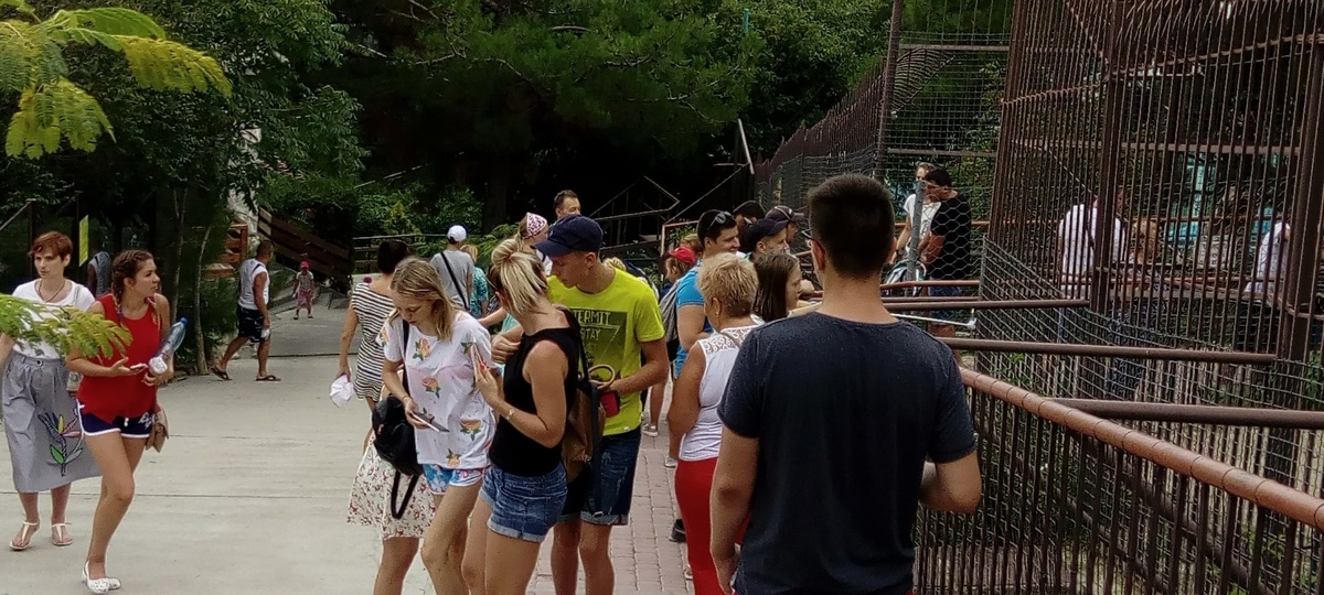 (Личное фото автора)