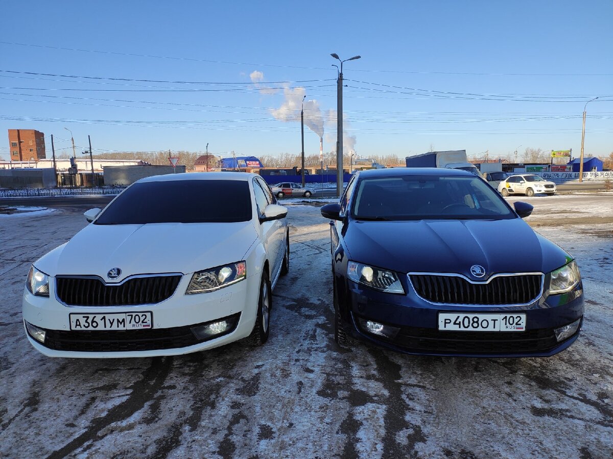 Skoda Octavia A7 - неожиданные отличия чешской сборки от российской |  AvtoExperts.ru | Дзен