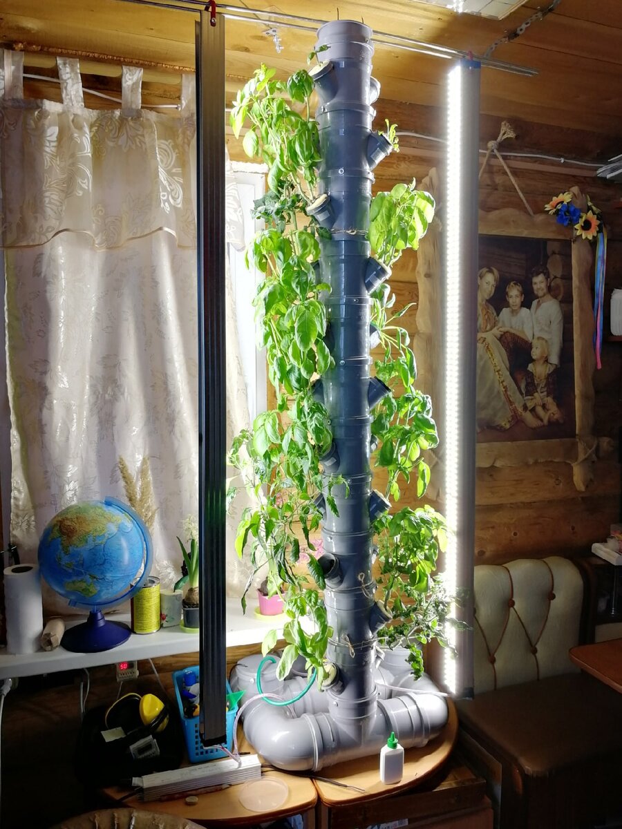 Установка для круглогодичного выращивания растений Аэро-Флора в моём доме. Выращиваем базилик, шпинат. острый перчик, помидорки.