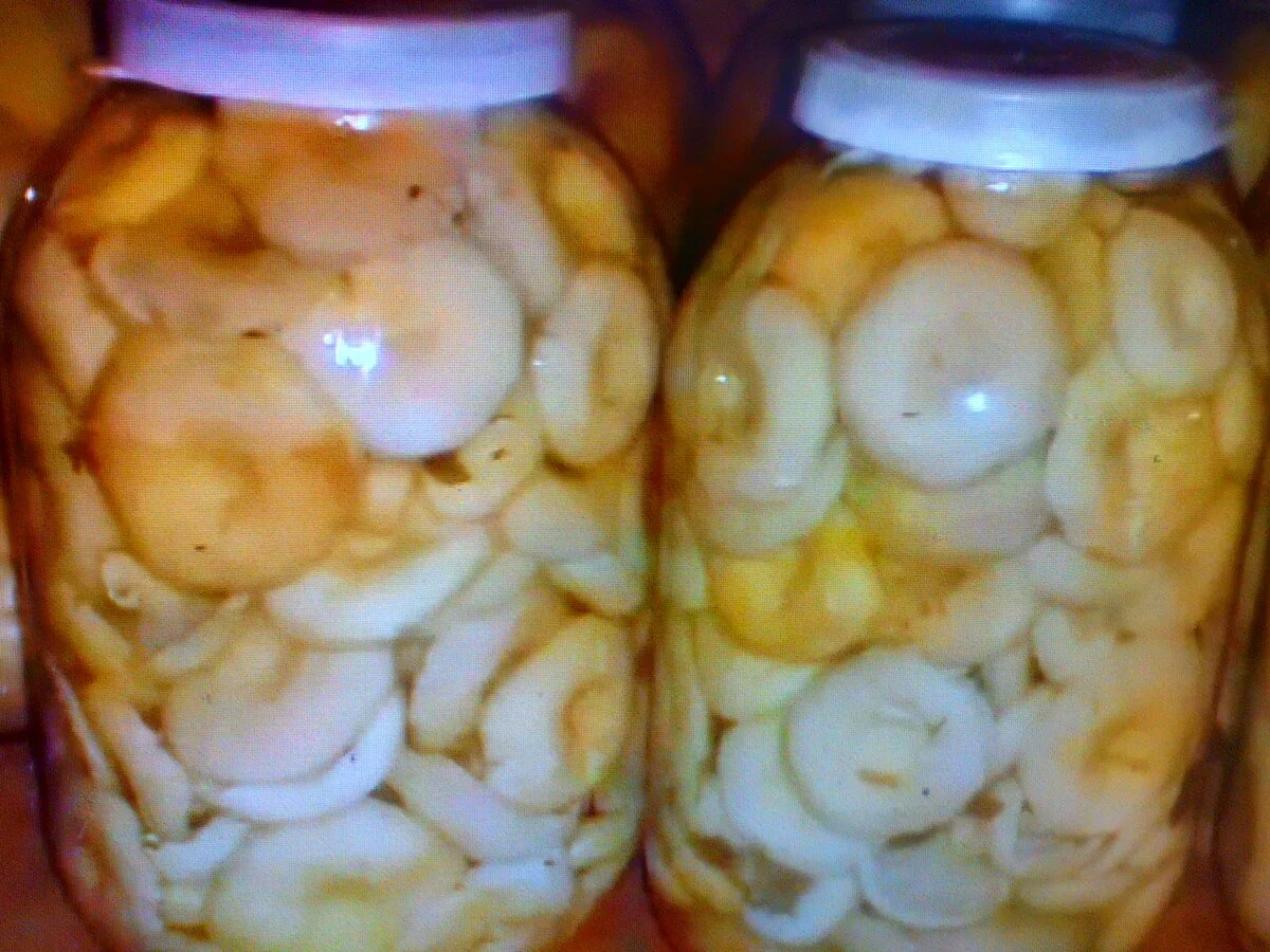 Фото из семейного архива автора