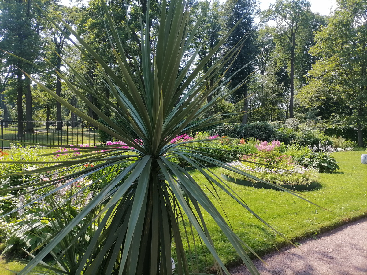 Парк Александрия. Фото автора
