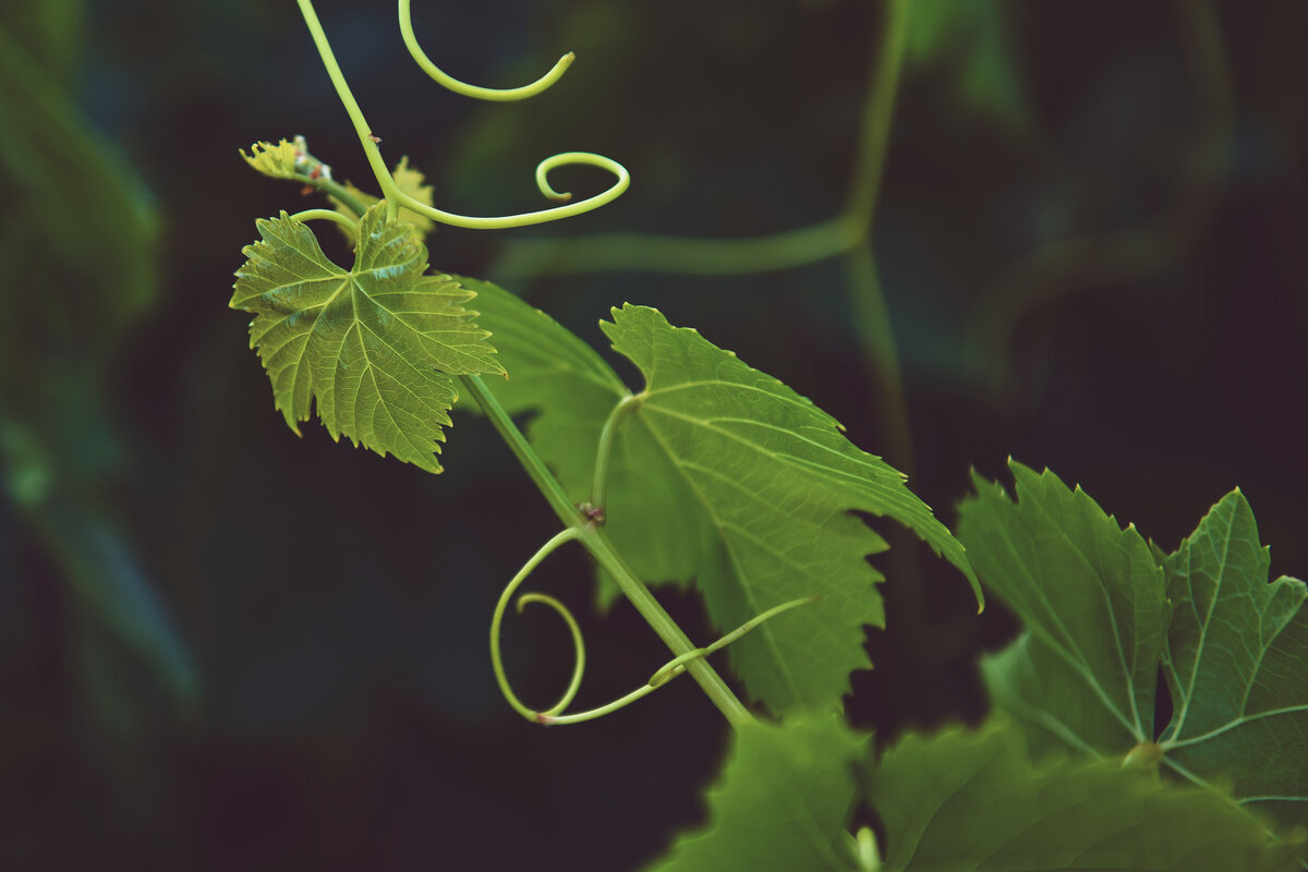 Фото: © Tim Mosholder/Unsplash