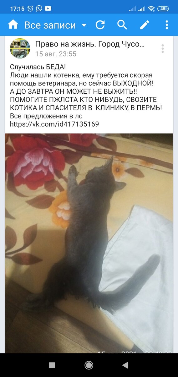 Свободный выгул, не успели спасти... 