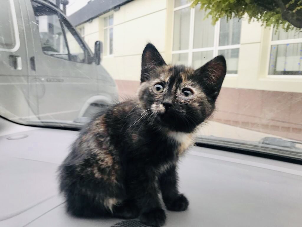 Поехали домой !