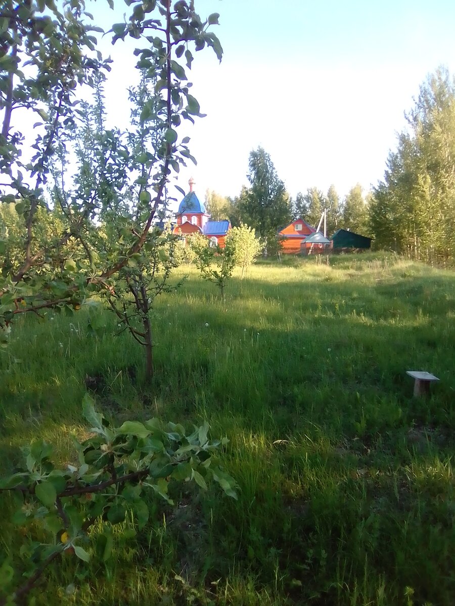 Личное фото из Мордовии