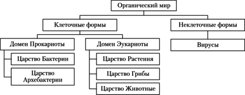 БИОЛОГИЧЕСКИЙ ОТДЕЛ ЦЕНТРА ПЕДАГОГИЧЕСКОГО МАСТЕРСТВА