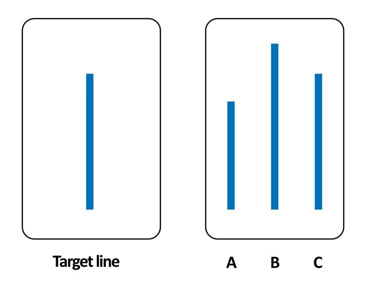 Пример карточек из эксперимента АшаФотоAdisha Pramod / Alamy via Legion Media
