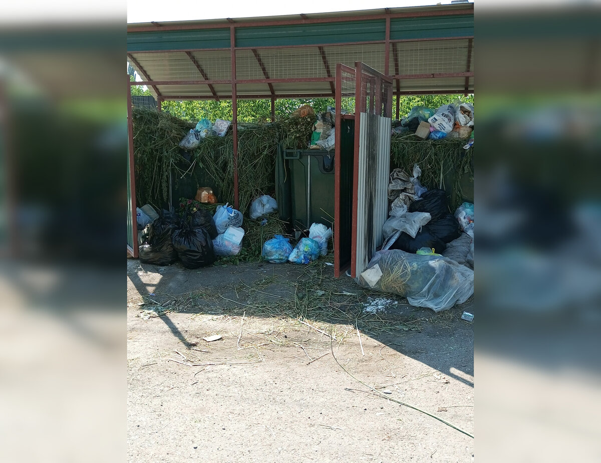    Фото: соцсети