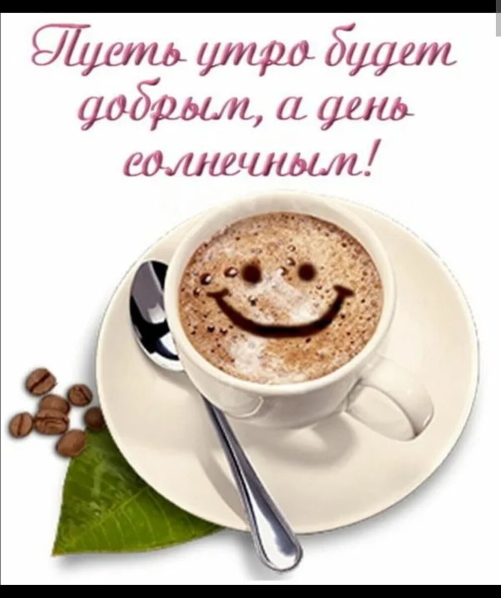 Яндекс. Открытый источник