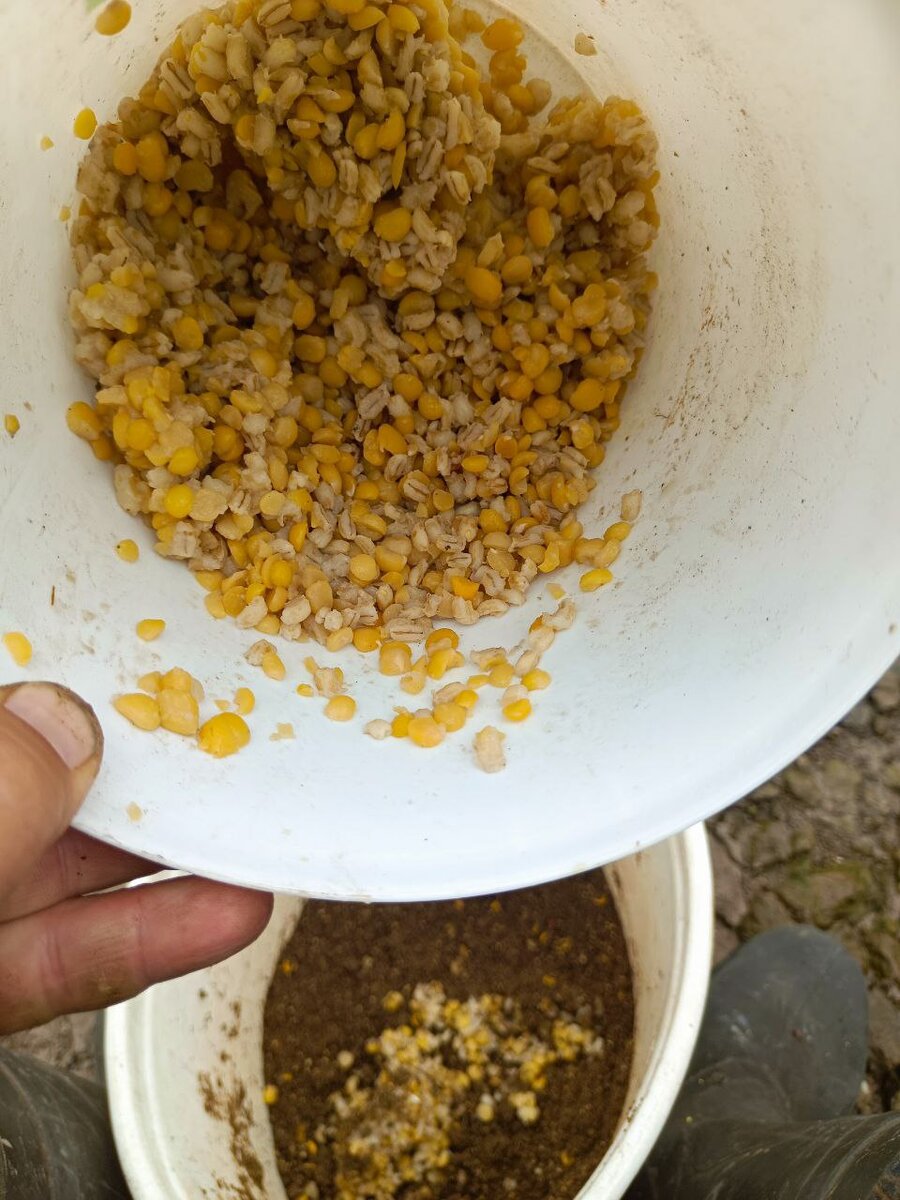 Добавлял по немногу в корм