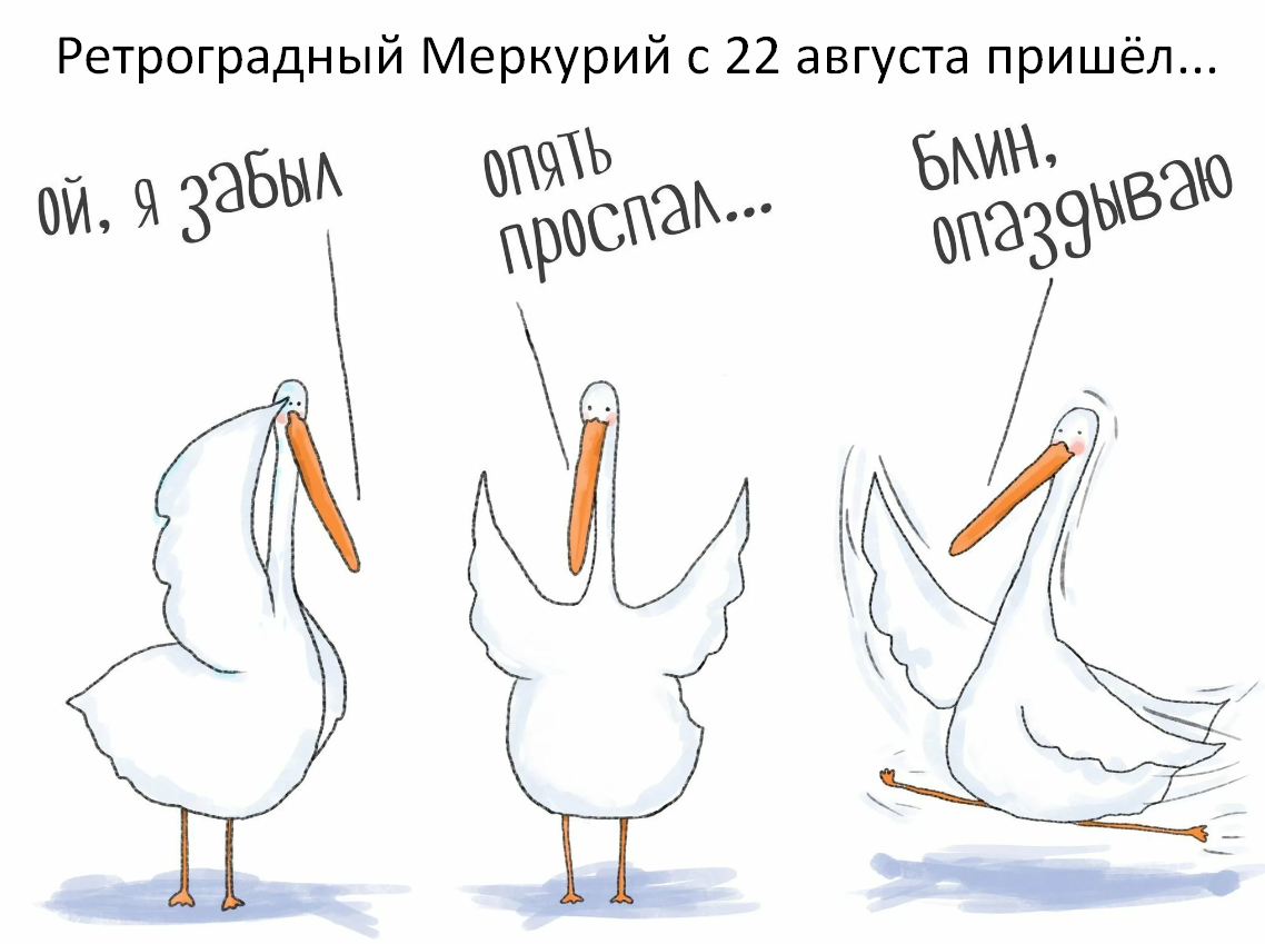 Фото из открытого источника