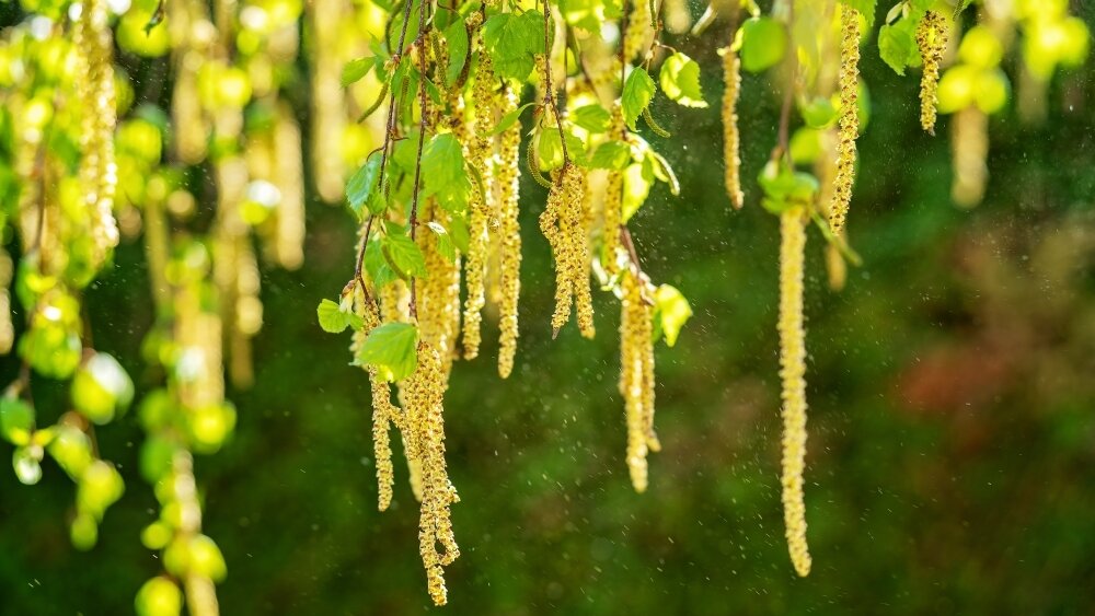    Фото: Shutterstock