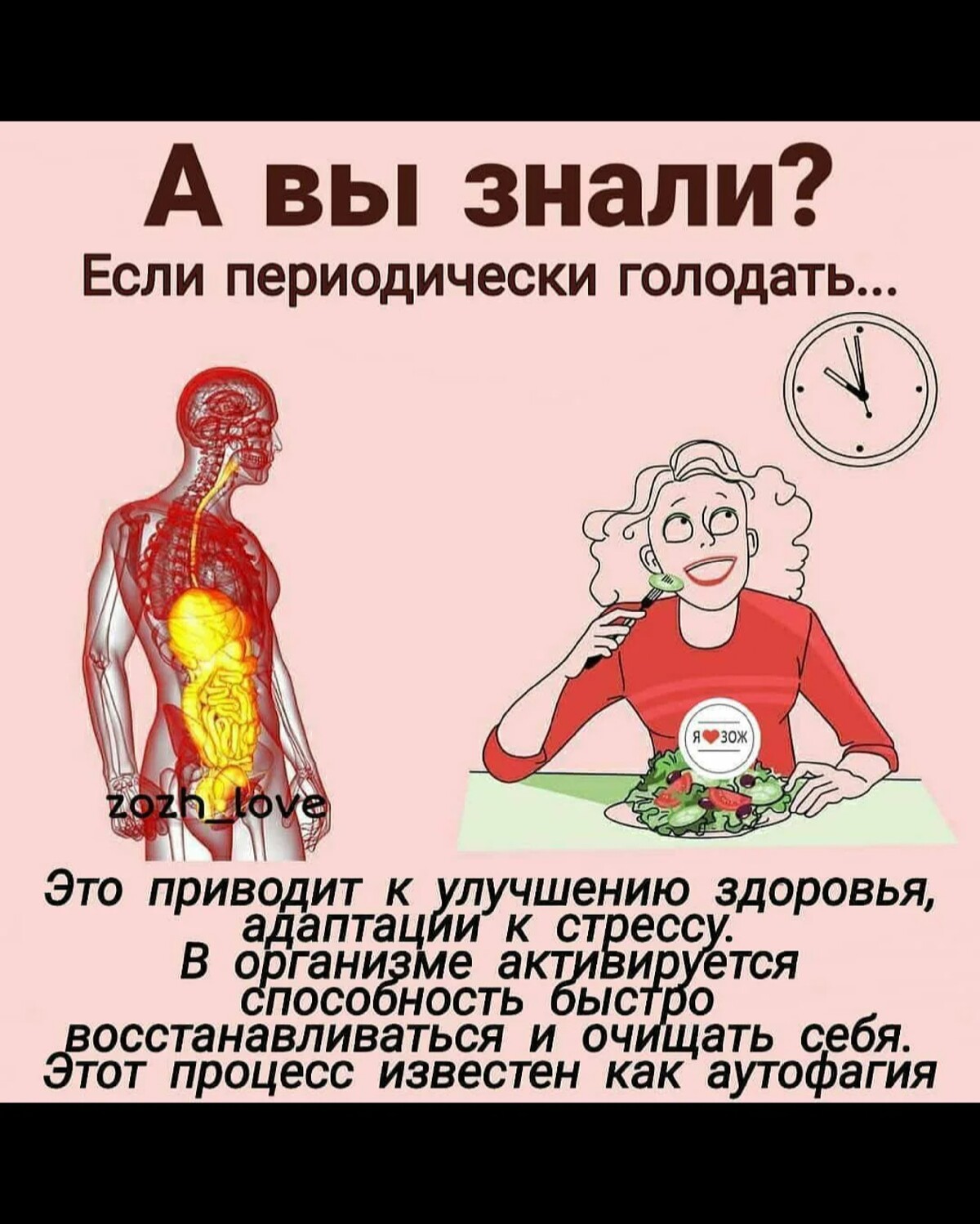 Дневник голодания на воде