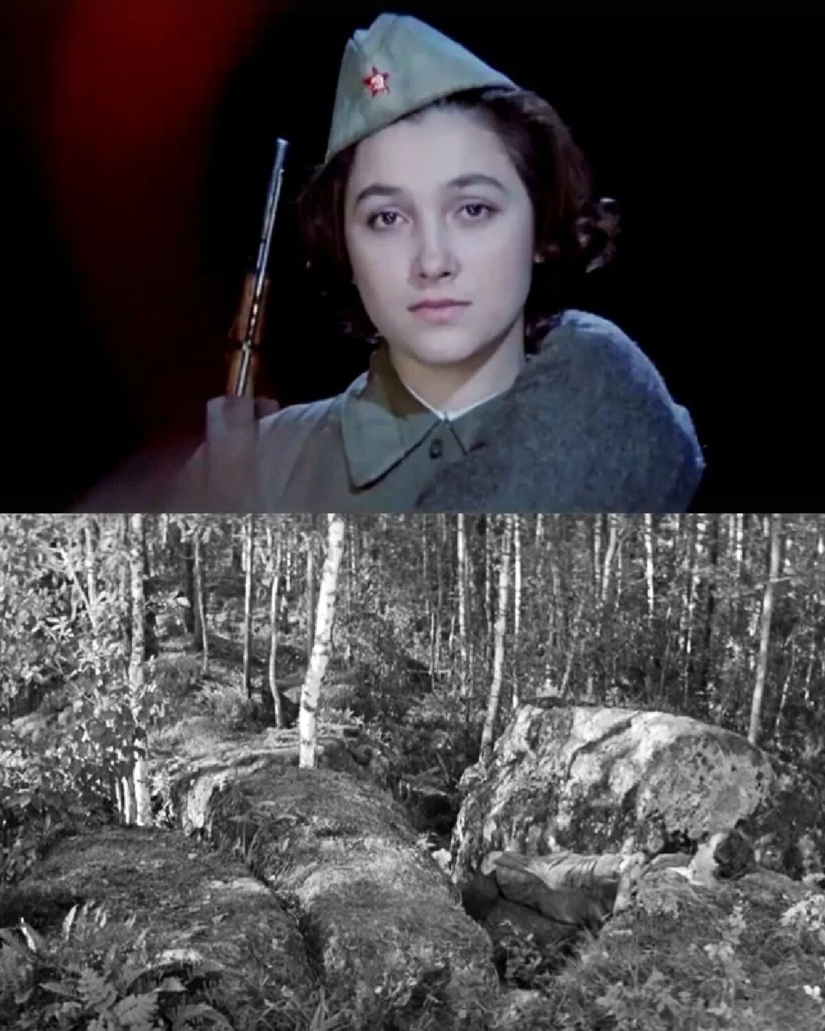 А зори здесь тихие 1972 картинки
