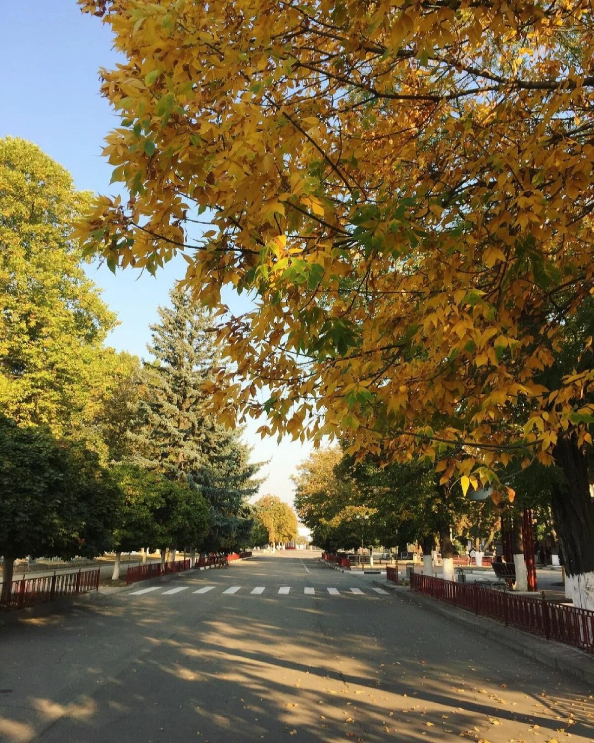 Парк в усть лабинске