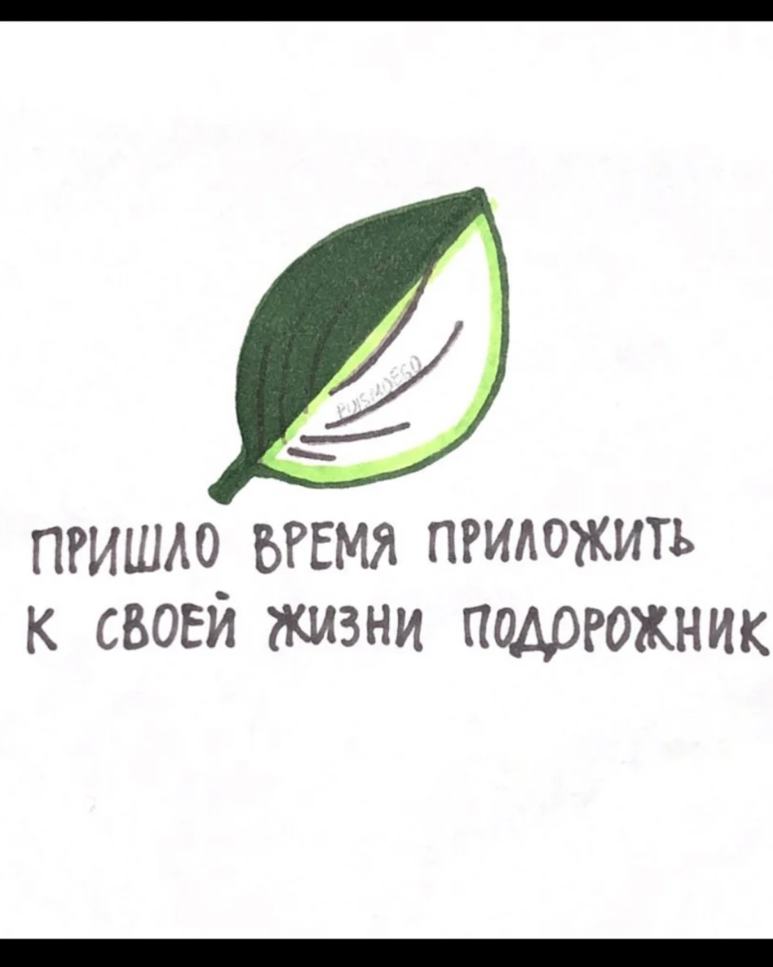 Открой приложи. Приложи подорожник. Приложи к своей жизни подорожник. Пора приложить к своей жизни подорожник. Подорожник Мем.