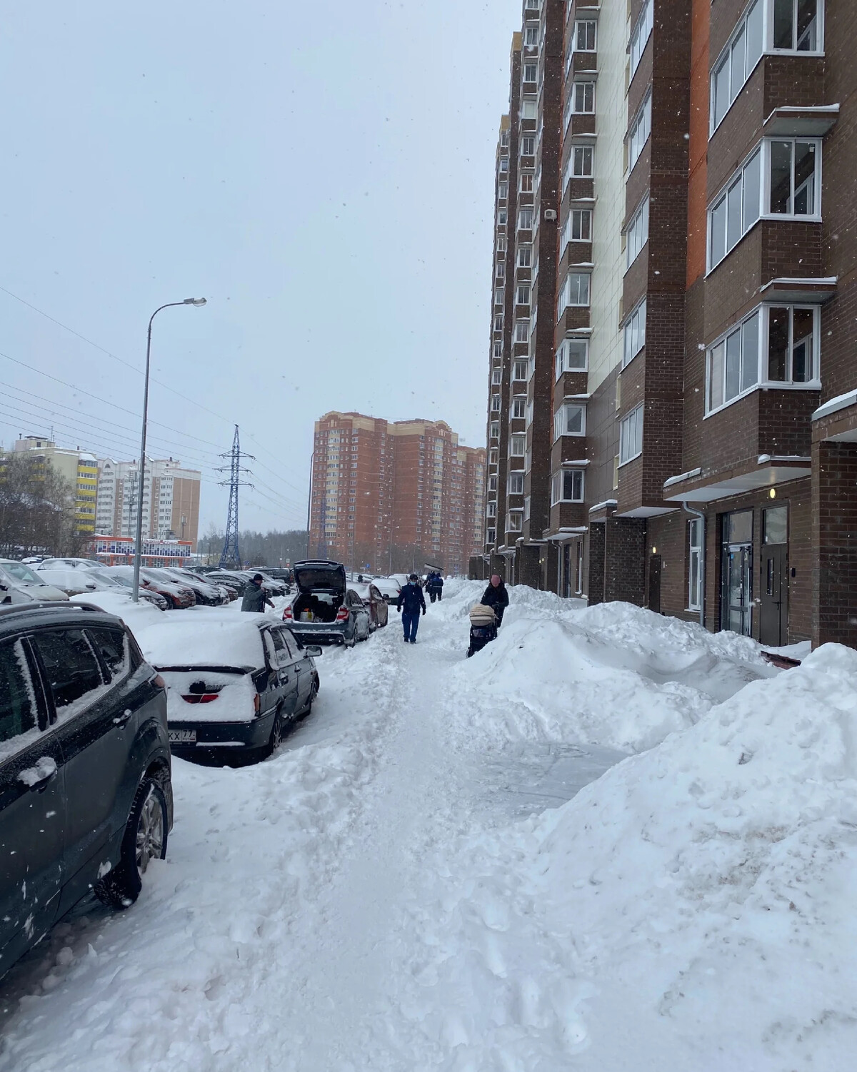 Снег в Подмосковье8
