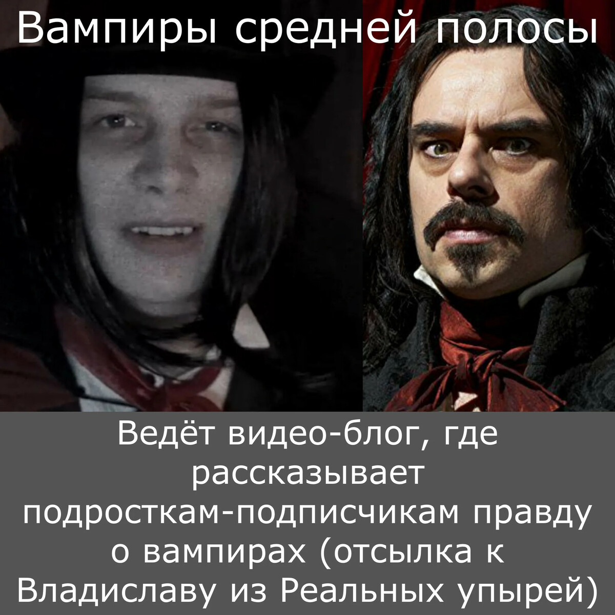 Описание вампиры средней. Вампиры средней. Вампиры средней полосы. Вампиры средней полосы стоянов. Описание вампиры средней.