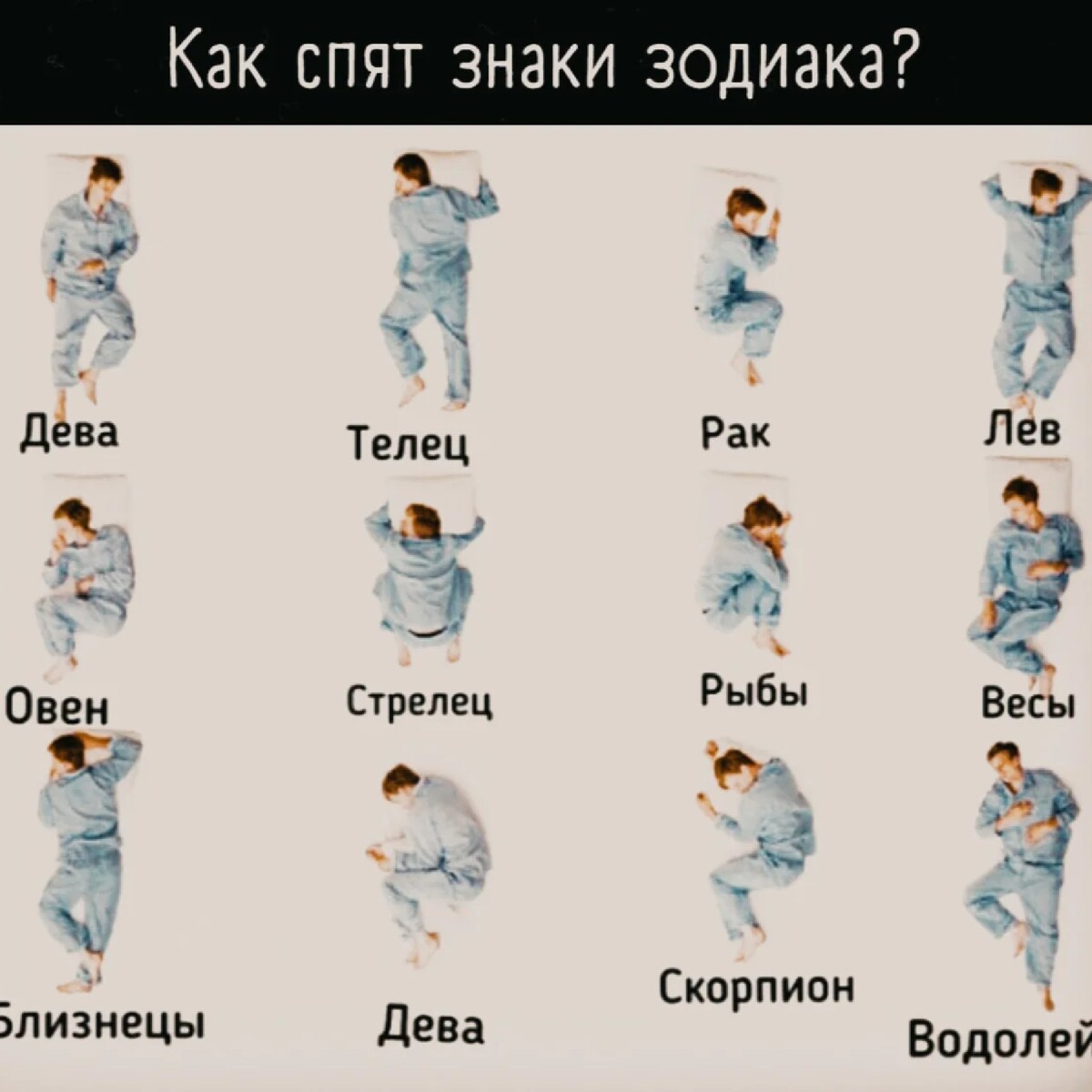 Тельцу нужно время. Гороскоп по картинкам. Позы по знакам зодиака. Позы сна по знакам зодиака. Картинки гороскоп по знакам.