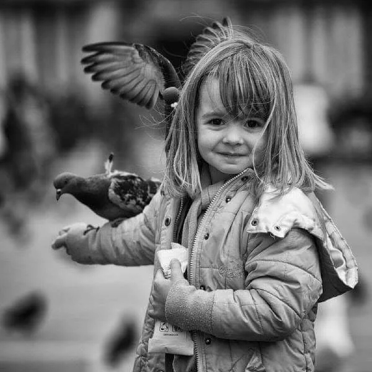 Передо мной фотография. Девочка с голубем. Девочка с птичкой. Счастливая девочка. Девочка и маленькая птичка.