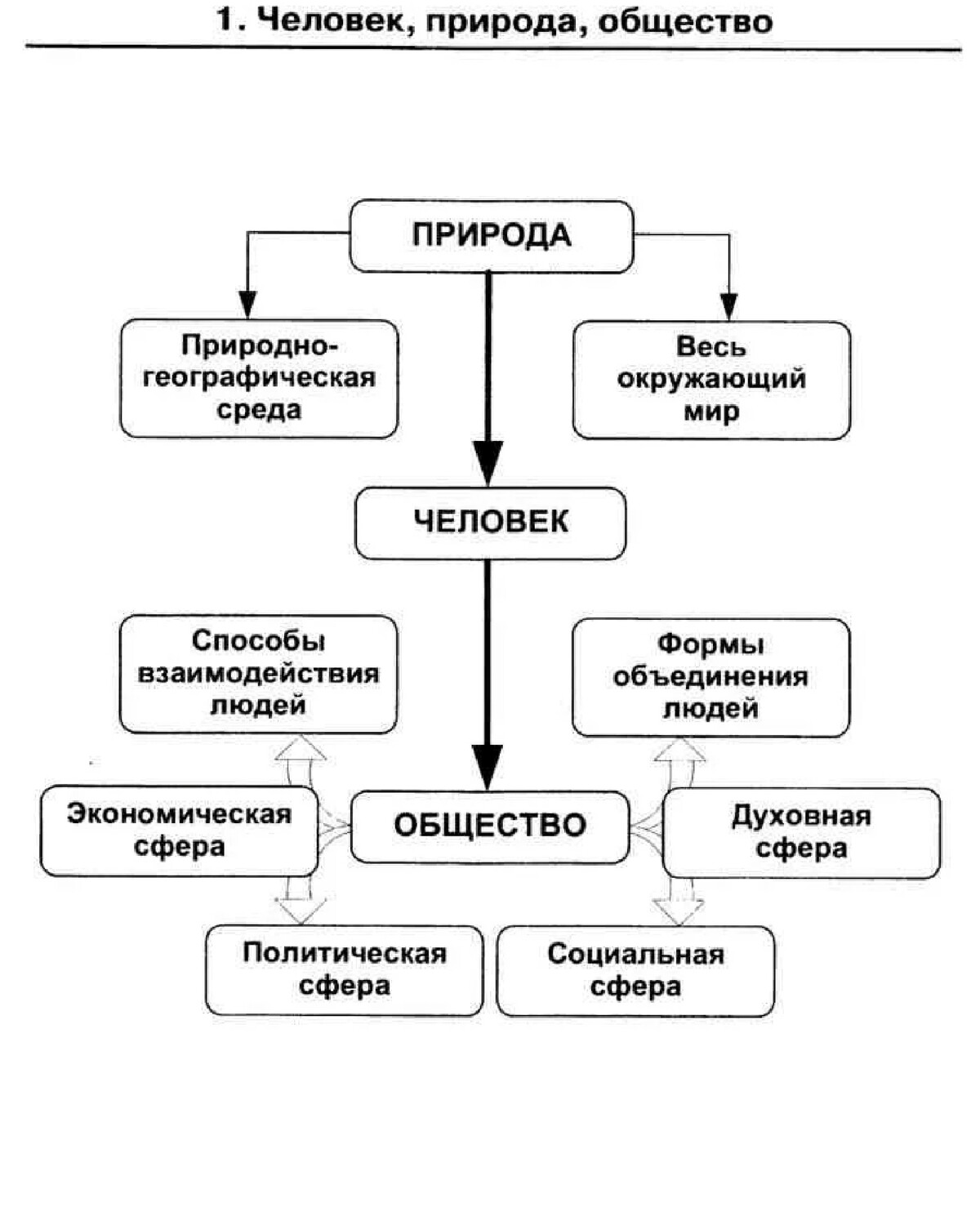 виды социальных норм картинки