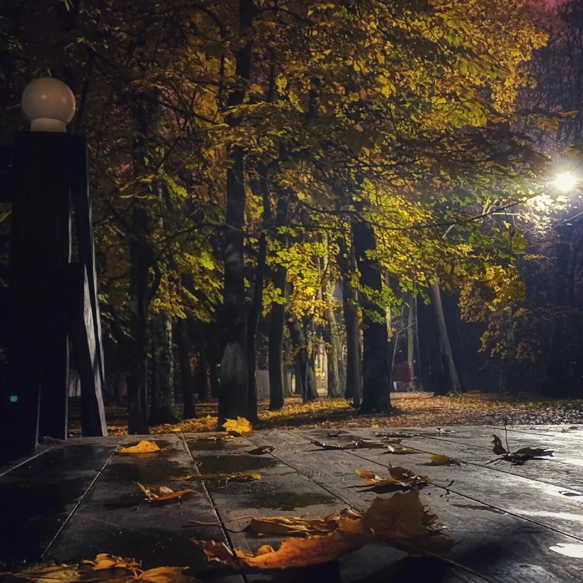Где сейчас осень. Мрачная осень в Петербурге. Эстетика темной осени в Питере. Осень в Питере фон для чата.