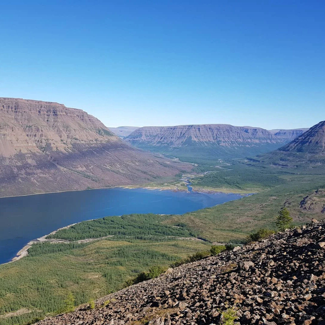 Плато Путорана лес вода