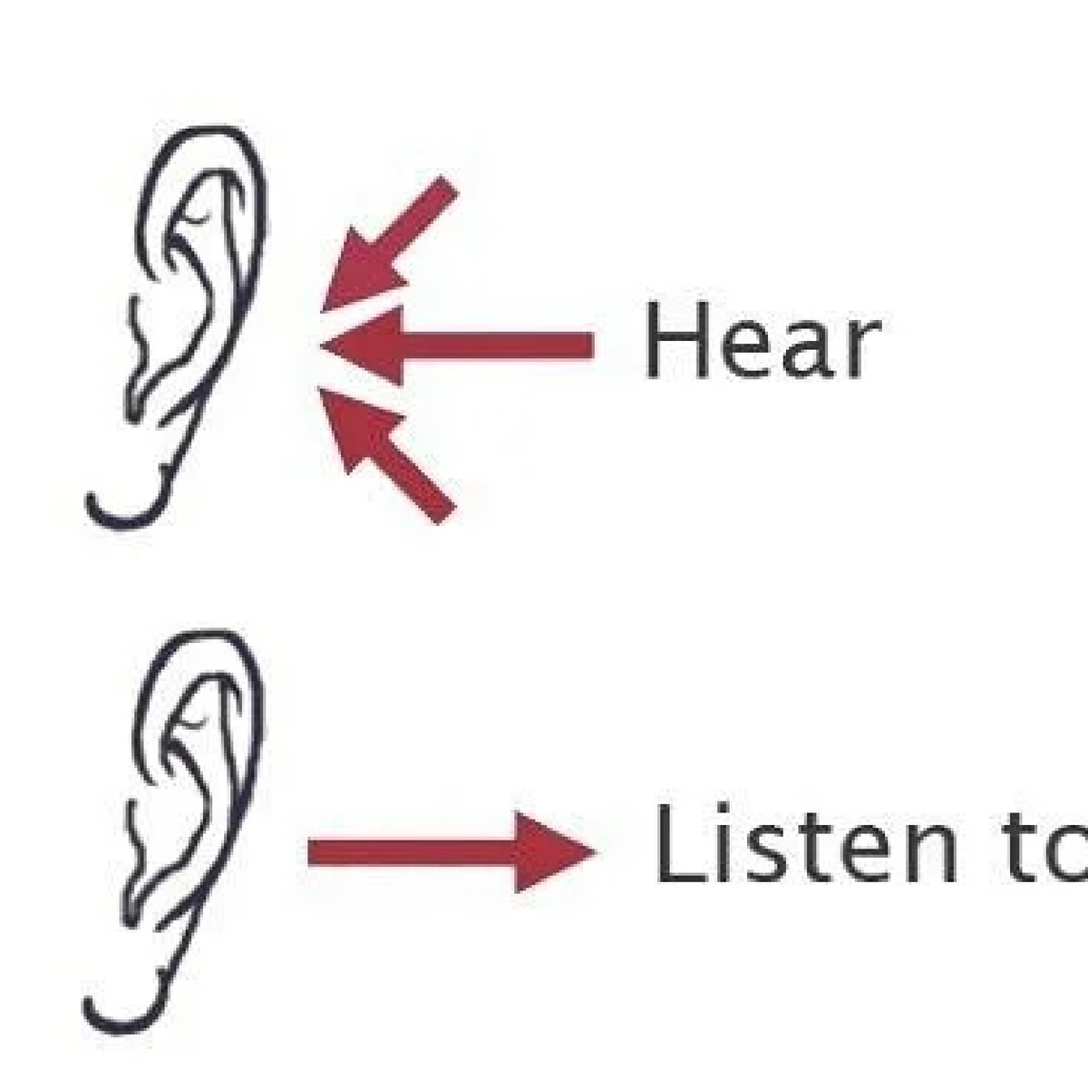 Hear verb. Hear listen. Hear listen to разница. Listening и hear разница. Разница между listen и hear в английском языке.