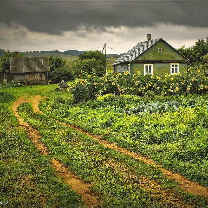 Фото деревенские картинки