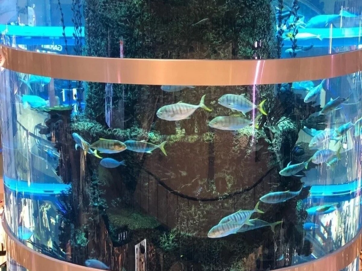 самый большой аквариум в москве в торговом центре