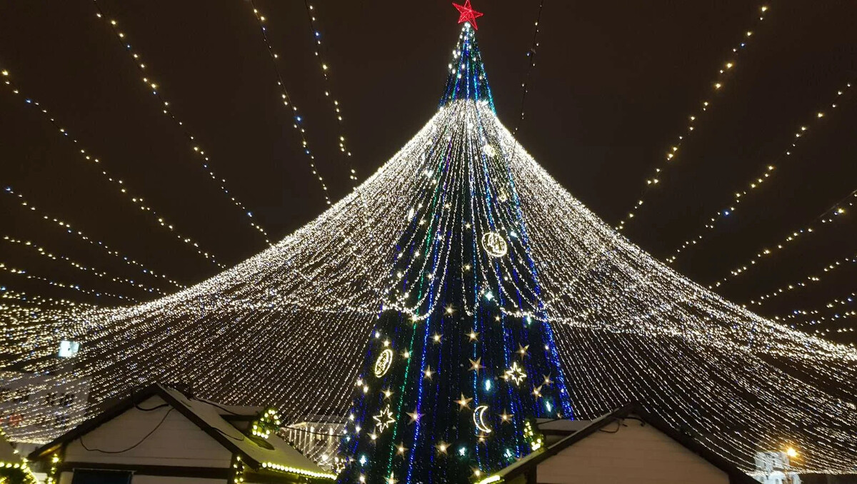 Завтра в 7 22 я буду в борисполе сидеть. Новогодняя елка рязань 2022. Елка в городе. Елка в 7 22 в борисполе. Елка рэу плеханова 2022.