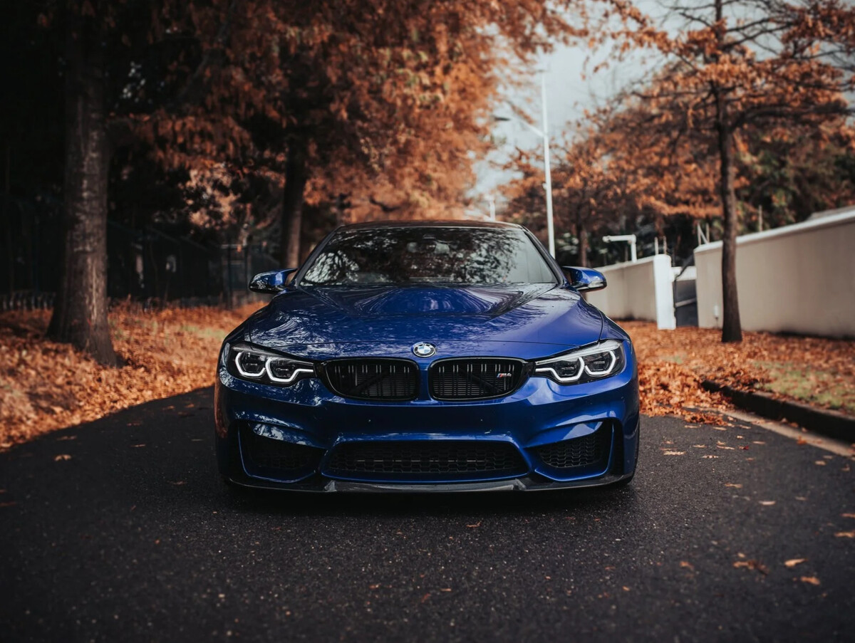 BMW f82 машина в лесу