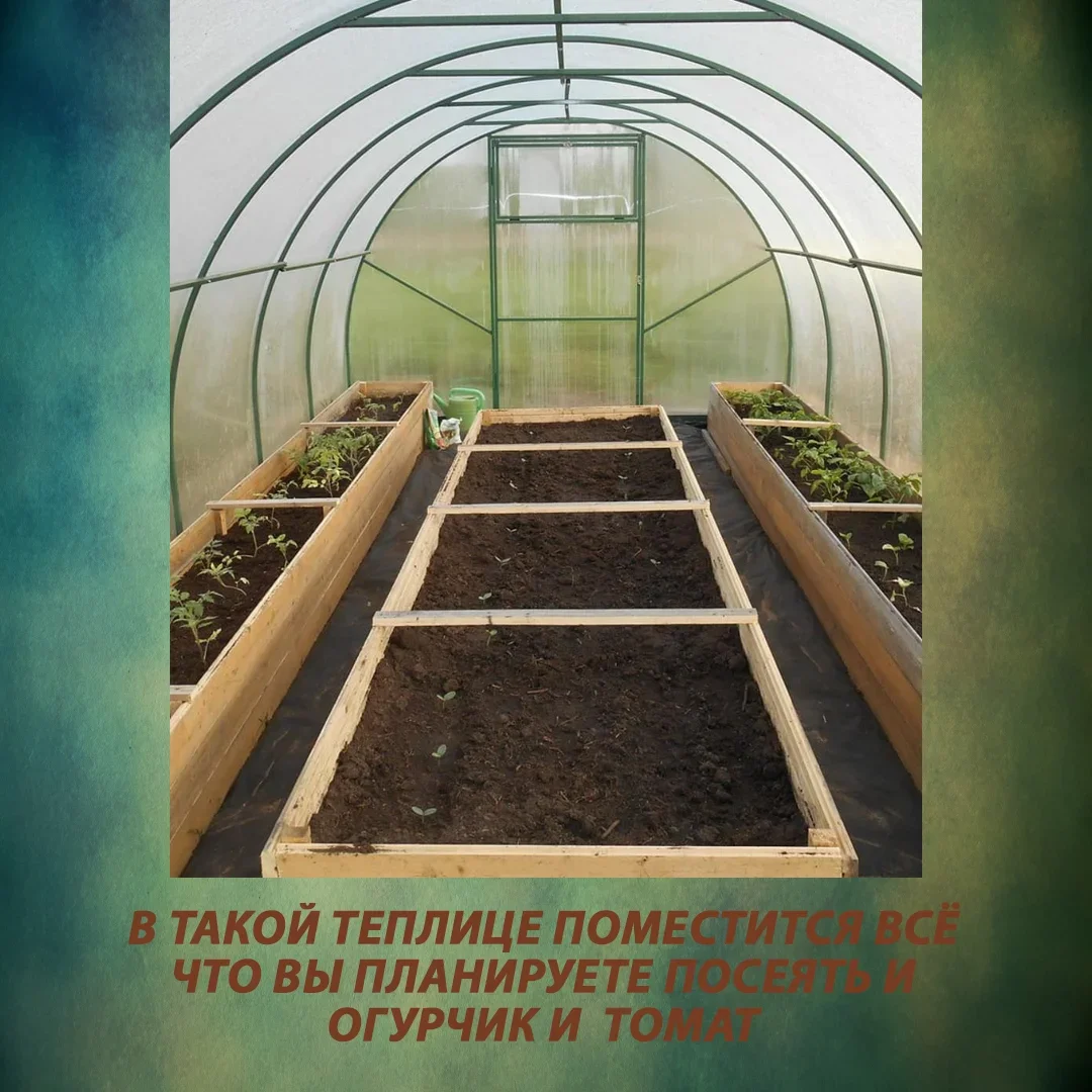 Как расположить грядки в теплице 3х4 из поликарбоната