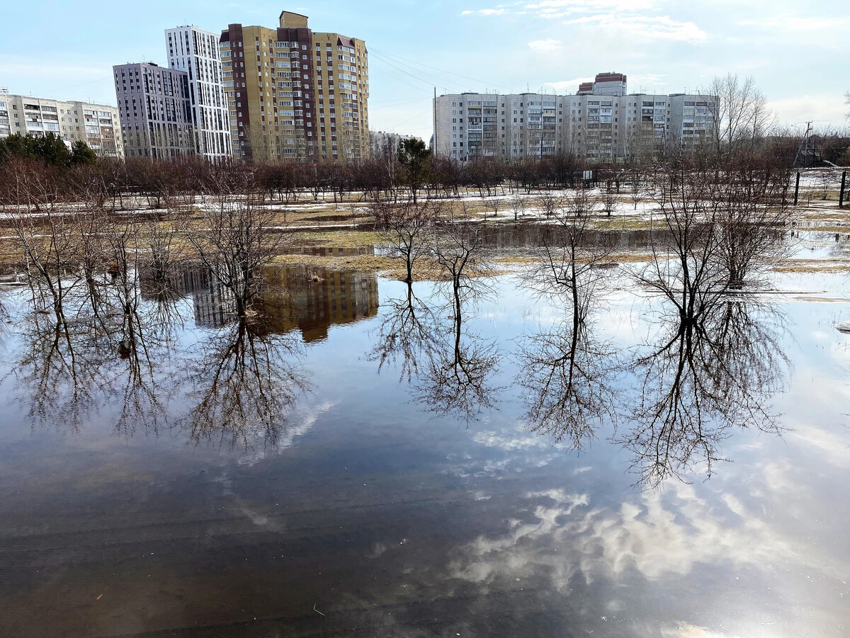 тюмень заречный парк